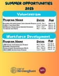 SUMMER OPPORTUNITIES 2025 (1)
